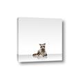 Picture of Singular Raccoon _GroupedProduct_Square_Mini_ _GroupedProduct_Square_Canvas_