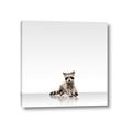 Picture of Singular Raccoon _GroupedProduct_Square_Mini_ _GroupedProduct_Square_Canvas_