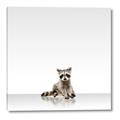 Picture of Singular Raccoon _GroupedProduct_Square_Mini_ _GroupedProduct_Square_Canvas_
