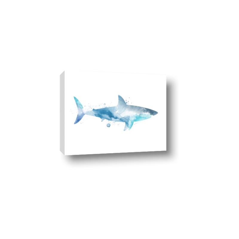 Picture of Blue Splash Shark I  _GroupedProduct_Rectangle_Landscape_Mini_ _GroupedProduct_Rectangle_Landscape_Canvas_