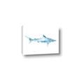 Picture of Blue Splash Shark II _GroupedProduct_Rectangle_Landscape_Mini_ _GroupedProduct_Rectangle_Landscape_Canvas_