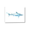 Picture of Blue Splash Shark II _GroupedProduct_Rectangle_Landscape_Mini_ _GroupedProduct_Rectangle_Landscape_Canvas_