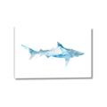 Picture of Blue Splash Shark II _GroupedProduct_Rectangle_Landscape_Mini_ _GroupedProduct_Rectangle_Landscape_Canvas_
