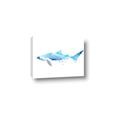 Picture of Blue Splash Shark III _GroupedProduct_Rectangle_Landscape_Mini_ _GroupedProduct_Rectangle_Landscape_Canvas_