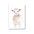 Picture of Baby Sheep Front _GroupedProduct_Rectangle_Portrait_Mini_ _GroupedProduct_Rectangle_Portrait_Canvas_