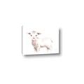 Picture of Baby Sheep Side  _GroupedProduct_Rectangle_Landscape_Mini_ _GroupedProduct_Rectangle_Landscape_Canvas_