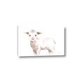 Picture of Baby Sheep Side  _GroupedProduct_Rectangle_Landscape_Mini_ _GroupedProduct_Rectangle_Landscape_Canvas_