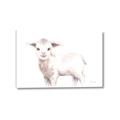 Picture of Baby Sheep Side  _GroupedProduct_Rectangle_Landscape_Mini_ _GroupedProduct_Rectangle_Landscape_Canvas_