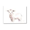 Picture of Baby Sheep Side  _GroupedProduct_Rectangle_Landscape_Mini_ _GroupedProduct_Rectangle_Landscape_Canvas_