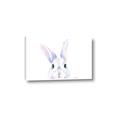 Picture of Peekaboo Bunny _GroupedProduct_Rectangle_Landscape_Mini_ _GroupedProduct_Rectangle_Landscape_Canvas_