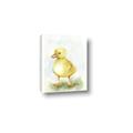 Picture of Farm Duck _GroupedProduct_Rectangle_Portrait_Mini_ _GroupedProduct_Rectangle_Portrait_Canvas_