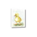 Picture of Farm Duck _GroupedProduct_Rectangle_Portrait_Mini_ _GroupedProduct_Rectangle_Portrait_Canvas_