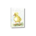 Picture of Farm Duck _GroupedProduct_Rectangle_Portrait_Mini_ _GroupedProduct_Rectangle_Portrait_Canvas_