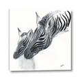 Picture of Mom and baby Zebra _GroupedProduct_Square_Mini_ _GroupedProduct_Square_Canvas_