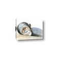 Picture of Sleeping Monkey _GroupedProduct_Rectangle_Landscape_Mini_ _GroupedProduct_Rectangle_Landscape_Canvas_