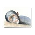 Picture of Sleeping Monkey _GroupedProduct_Rectangle_Landscape_Mini_ _GroupedProduct_Rectangle_Landscape_Canvas_