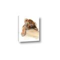 Picture of Sleeping Tiger _GroupedProduct_Rectangle_Portrait_Mini_ _GroupedProduct_Rectangle_Portrait_Canvas_