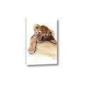 Picture of Sleeping Tiger _GroupedProduct_Rectangle_Portrait_Mini_ _GroupedProduct_Rectangle_Portrait_Canvas_