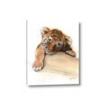 Picture of Sleeping Tiger _GroupedProduct_Rectangle_Portrait_Mini_ _GroupedProduct_Rectangle_Portrait_Canvas_