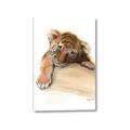 Picture of Sleeping Tiger _GroupedProduct_Rectangle_Portrait_Mini_ _GroupedProduct_Rectangle_Portrait_Canvas_
