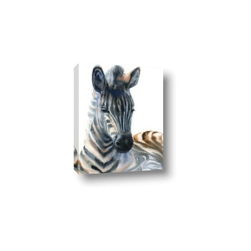 Picture of Sleeping Zebra _GroupedProduct_Rectangle_Portrait_Mini_ _GroupedProduct_Rectangle_Portrait_Canvas_