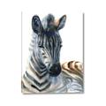 Picture of Sleeping Zebra _GroupedProduct_Rectangle_Portrait_Mini_ _GroupedProduct_Rectangle_Portrait_Canvas_