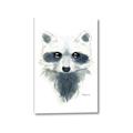 Picture of Raccoony _GroupedProduct_Rectangle_Portrait_Mini_ _GroupedProduct_Rectangle_Portrait_Canvas_