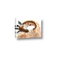 Picture of Sleeping Giraffe _GroupedProduct_Rectangle_Landscape_Mini_ _GroupedProduct_Rectangle_Landscape_Canvas_