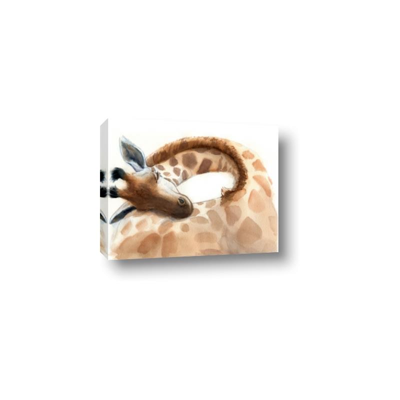 Picture of Sleeping Giraffe _GroupedProduct_Rectangle_Landscape_Mini_ _GroupedProduct_Rectangle_Landscape_Canvas_