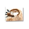 Picture of Sleeping Giraffe _GroupedProduct_Rectangle_Landscape_Mini_ _GroupedProduct_Rectangle_Landscape_Canvas_