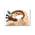Picture of Sleeping Giraffe _GroupedProduct_Rectangle_Landscape_Mini_ _GroupedProduct_Rectangle_Landscape_Canvas_