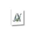 Picture of Green Dino A  _GroupedProduct_Rectangle_Portrait_Mini_ _GroupedProduct_Rectangle_Portrait_Canvas_