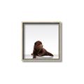 Picture of Singular Bear _GroupedProduct_Square_Mini_ _GroupedProduct_Square_Canvas_Framed_