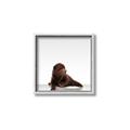Picture of Singular Bear _GroupedProduct_Square_Mini_ _GroupedProduct_Square_Canvas_Framed_