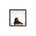 Picture of Singular Bear _GroupedProduct_Square_Mini_ _GroupedProduct_Square_Canvas_Framed_