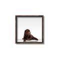 Picture of Singular Bear _GroupedProduct_Square_Mini_ _GroupedProduct_Square_Canvas_Framed_