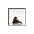 Picture of Singular Bear _GroupedProduct_Square_Mini_ _GroupedProduct_Square_Canvas_Framed_