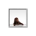 Picture of Singular Bear _GroupedProduct_Square_Mini_ _GroupedProduct_Square_Canvas_Framed_