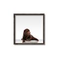 Picture of Singular Bear _GroupedProduct_Square_Mini_ _GroupedProduct_Square_Canvas_Framed_