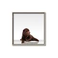Picture of Singular Bear _GroupedProduct_Square_Mini_ _GroupedProduct_Square_Canvas_Framed_