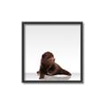 Picture of Singular Bear _GroupedProduct_Square_Mini_ _GroupedProduct_Square_Canvas_Framed_