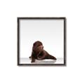 Picture of Singular Bear _GroupedProduct_Square_Mini_ _GroupedProduct_Square_Canvas_Framed_
