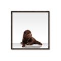 Picture of Singular Bear _GroupedProduct_Square_Mini_ _GroupedProduct_Square_Canvas_Framed_