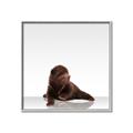 Picture of Singular Bear _GroupedProduct_Square_Mini_ _GroupedProduct_Square_Canvas_Framed_