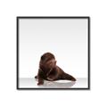 Picture of Singular Bear _GroupedProduct_Square_Mini_ _GroupedProduct_Square_Canvas_Framed_