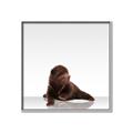 Picture of Singular Bear _GroupedProduct_Square_Mini_ _GroupedProduct_Square_Canvas_Framed_