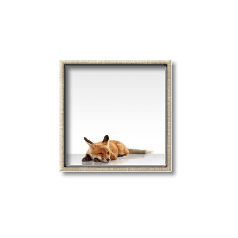 Picture of Singular Fox  _GroupedProduct_Square_Mini_ _GroupedProduct_Square_Canvas_Framed_