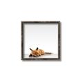 Picture of Singular Fox  _GroupedProduct_Square_Mini_ _GroupedProduct_Square_Canvas_Framed_