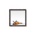 Picture of Singular Fox  _GroupedProduct_Square_Mini_ _GroupedProduct_Square_Canvas_Framed_