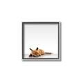 Picture of Singular Fox  _GroupedProduct_Square_Mini_ _GroupedProduct_Square_Canvas_Framed_